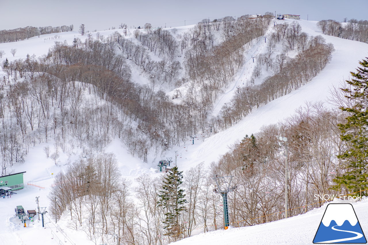 石狩平原スキー場｜今冬は豪雪の当別町。びっくりするほど積雪たっぷりのローカルゲレンデへ！